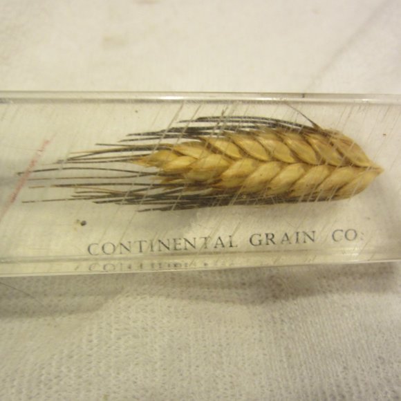 RARE VTG SOUVENIR LETTER OPENER CONTINENTAL GRAIN CO. - Picture 6 of 7